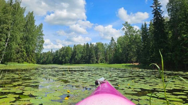 Увлекательное приключение на байдарках по реке Оредеж